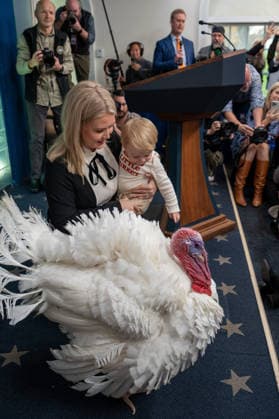 November 25, 2025, Washington, District of Columbia, United States: The turkey Ã¢â‚¬oeWaddleÃ¢â‚¬Â? meets the White House press corps prior to the Presidential Turkey Pardon on November 25, 2025. White House Press Secretary Karoline Leavitt attended with her son Nicholas. Washington United States - ZUMAl312 20251125_znp_l312_008 Copyright: xAndrewxLeydenx
