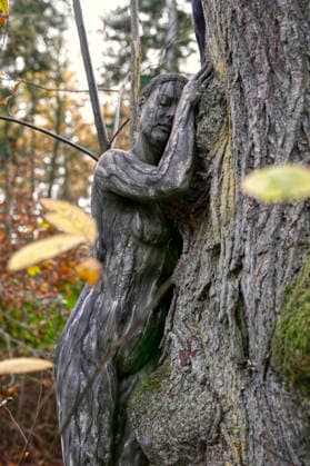 Nature Art Autumn bodypainting and photo shoot with model Tatjana Heinz in the Klütwald Hameln, 26 11 2025 Bodyart artist Jörg Düsterwald Foto:xT.xSkupinx xFuturexImagex herbst_5102