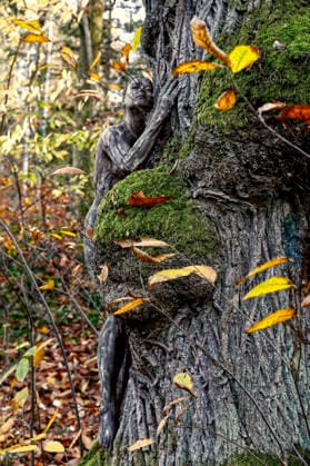 Nature Art Autumn bodypainting and photo shoot with model Tatjana Heinz in the Klütwald Hameln, 26 11 2025 Bodyart artist Jörg Düsterwald Foto:xT.xSkupinx xFuturexImagex herbst_5103