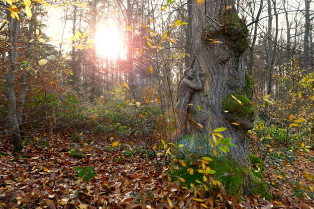 Nature Art Autumn bodypainting and photo shoot with model Tatjana Heinz in the Klütwald Hameln, 26 11 2025 Bodyart artist Jörg Düsterwald Foto:xT.xSkupinx xFuturexImagex herbst_5104