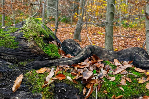 Nature Art Autumn bodypainting and photo shoot with model Tatjana Heinz in the Klütwald Hameln, 26 11 2025 Bodyart artist Jörg Düsterwald Foto:xT.xSkupinx xFuturexImagex herbst_5110