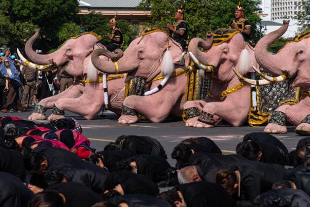 The mahouts and elephants pay respects to the Queen Mother Sirikit in Bangkok, Thailand - 27 Nov 2025 Mahouts and the elephants pay respect to the Queen Mother Sirikit outside the Royal Grand Palace in Bangkok. Mahouts and the elephants from Ayutthaya Elephant Palace travel from Ayutthaya to Bangkok to pay respect for the Queen Mother Sirikit at the Royal Grand Palace in Bangkok. The Queen Mother Sirikit died at the age of 93 on 24 October 2025 at the Chulalongkorn Hospital. Bangkok Thailand Copyright: xPeeraponxBoonyakiatx xSOPAxImagesx Elephant-12