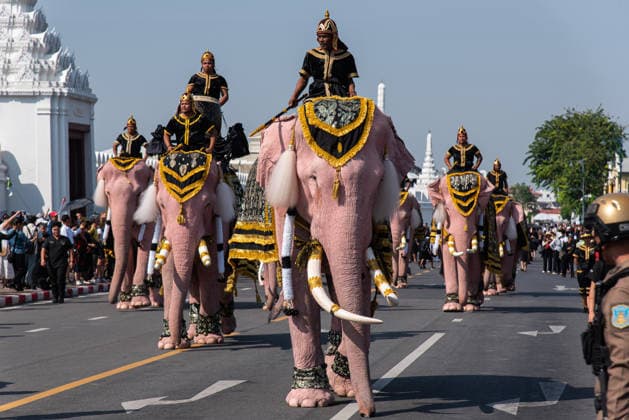 The mahouts and elephants pay respects to the Queen Mother Sirikit in Bangkok, Thailand - 27 Nov 2025 Mahouts and the elephants march to pay respect to the Queen Mother Sirikit outside the Royal Grand Palace in Bangkok. Mahouts and the elephants from Ayutthaya Elephant Palace travel from Ayutthaya to Bangkok to pay respect for the Queen Mother Sirikit at the Royal Grand Palace in Bangkok. The Queen Mother Sirikit died at the age of 93 on 24 October 2025 at the Chulalongkorn Hospital. Bangkok Thailand Copyright: xPeeraponxBoonyakiatx xSOPAxImagesx Elephant-13