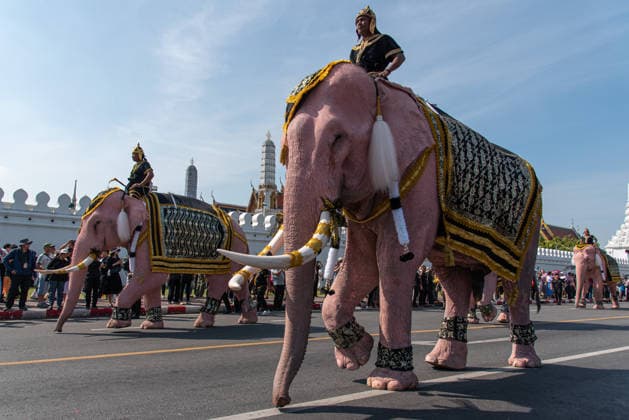 The mahouts and elephants pay respects to the Queen Mother Sirikit in Bangkok, Thailand - 27 Nov 2025 Mahouts and the elephants march to pay respect to the Queen Mother Sirikit outside the Royal Grand Palace in Bangkok. Mahouts and the elephants from Ayutthaya Elephant Palace travel from Ayutthaya to Bangkok to pay respect for the Queen Mother Sirikit at the Royal Grand Palace in Bangkok. The Queen Mother Sirikit died at the age of 93 on 24 October 2025 at the Chulalongkorn Hospital. Bangkok Thailand Copyright: xPeeraponxBoonyakiatx xSOPAxImagesx Elephant-14