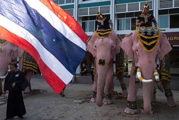 The mahouts and elephants pay respects to the Queen Mother Sirikit in Bangkok, Thailand - 27 Nov 2025 Mahouts and the elephants gesture before marching to pay respect to the Queen Mother Sirikit outside the Royal Grand Palace in Bangkok. Mahouts and the elephants from Ayutthaya Elephant Palace travel from Ayutthaya to Bangkok to pay respect for the Queen Mother Sirikit at the Royal Grand Palace in Bangkok. The Queen Mother Sirikit died at the age of 93 on 24 October 2025 at the Chulalongkorn Hospital. Bangkok Thailand Copyright: xPeeraponxBoonyakiatx xSOPAxImagesx Elephant-6