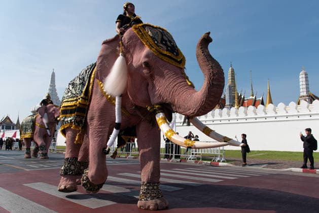 The mahouts and elephants pay respects to the Queen Mother Sirikit in Bangkok, Thailand - 27 Nov 2025 Mahouts and the elephants march to pay respect to the Queen Mother Sirikit outside the Royal Grand Palace in Bangkok. Mahouts and the elephants from Ayutthaya Elephant Palace travel from Ayutthaya to Bangkok to pay respect for the Queen Mother Sirikit at the Royal Grand Palace in Bangkok. The Queen Mother Sirikit died at the age of 93 on 24 October 2025 at the Chulalongkorn Hospital. Bangkok Thailand Copyright: xPeeraponxBoonyakiatx xSOPAxImagesx Elephant-8