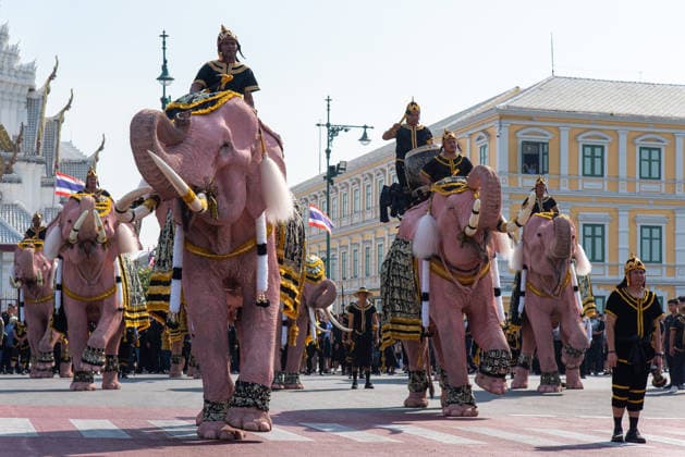 The mahouts and elephants pay respects to the Queen Mother Sirikit in Bangkok, Thailand - 27 Nov 2025 Mahouts and the elephants march to pay respect to the Queen Mother Sirikit outside the Royal Grand Palace in Bangkok. Mahouts and the elephants from Ayutthaya Elephant Palace travel from Ayutthaya to Bangkok to pay respect for the Queen Mother Sirikit at the Royal Grand Palace in Bangkok. The Queen Mother Sirikit died at the age of 93 on 24 October 2025 at the Chulalongkorn Hospital. Bangkok Thailand Copyright: xPeeraponxBoonyakiatx xSOPAxImagesx Elephant-9