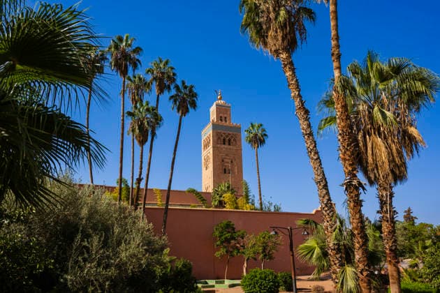 Tall palm trees and a historic tower against a clear blue sky in a sunny landscape. Marrakesh, Morocco Marrakesh Marrakesh-Safi Morocco bial06106 Copyright: xConnectxImagesx