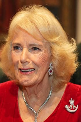 Britain Royals Britain s Queen Camilla, Colonel-in-Chief The Rifles and Royal Colonel 4th Battalion The Ranger Regiment, attends the Biennial RIFLES Awards Dinner, in London, Thursday, Nov. 27, 2025., Credit:Kin Cheung Avalon GBR, London  Copyright: xKinxCheungx xAvalonx 1055039138