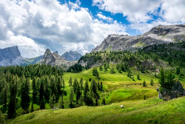 Alpine Sommerlandschaft in den Dolomiten bei Cinque Torri, Südtirol, Italien Summer landscape of the Italian Dolomites with towering rocky peaks, green meadows, and forests, on the Cinque Torri trail. South Tyrol, Italy (License=RF) Copyright: xZoonar.com StefanoxOrazzinix 24309698