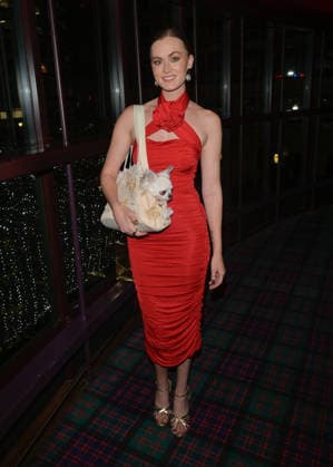 Boisdale Cigar Awards 2025, Boisdale of Canary Wharf, London 01-12-2025 Sian Osborne with their pet Chihuahua seen at the Boisdale Cigar Awards 2025, Boisdale of Canary Wharf, London 01-12-2025, Credit:Jules Annan Avalon  Copyright: xJulesxAnnanx xAvalonx 1055877094