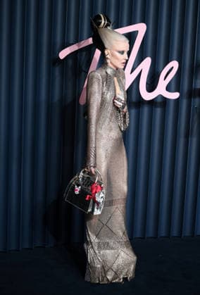 The Fashion Awards 2025 Daphne Guinness arriving at The Fashion Awards 2025 at the Royal Albert Hall in London, UK. London Royal Albert Hall UK Copyright: xFredxDuvalx