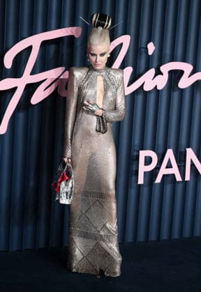The Fashion Awards 2025 presented by Pandora at the Royal Albert Hall in London - 01 Dec 2025 Daphne Guinness attends The Fashion Awards 2025 presented by Pandora at the Royal Albert Hall. London United Kingdom Copyright: xFredxDuvalx xSOPAxImagesx FD_Fashion_Awards_23