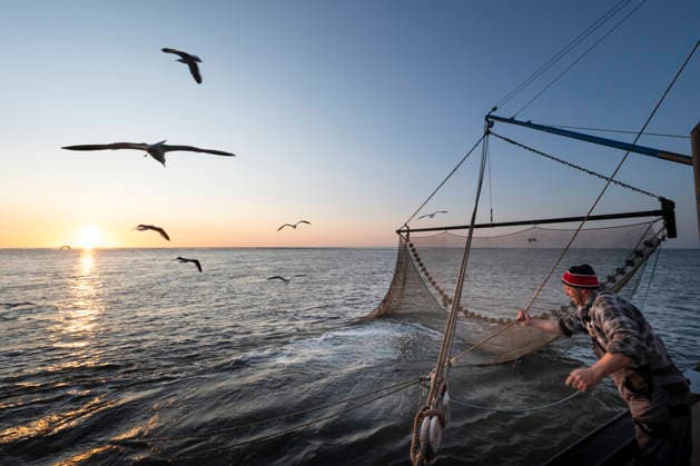 Fischfang Krabbenkutter Nixe II auf Fangfahrt in der Nordsee vor Dorum. Fischer Stephan Hellberg (58) ist Vorsitzende des Fischereivereins Dorumer Tief. Derzeit gibt es an der Wurster Nordseeküste zehn Krabbenkutter und etwa 20 Krabbenfischer. Dorum Nordsee, Außenweser Niedersachsen Deutschland *** Fishing Crab cutter Nixe II on a fishing trip in the North Sea off Dorum Fisherman Stephan Hellberg 58 is chairman of the Dorumer Tief fishing association There are currently ten crab cutters and around 20 crab fishermen on the Wurster North Sea coast Dorum North Sea, Outer Weser Lower Saxony Germany