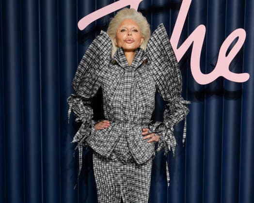 December 1, 2025, London, United Kingdom: Lisa Rinna attends The Fashion Awards 2025 at the Royal Albert Hall in Kensington, London. London United Kingdom - ZUMAs197 20251201_aaa_s197_817 Copyright: xCatxMorleyx