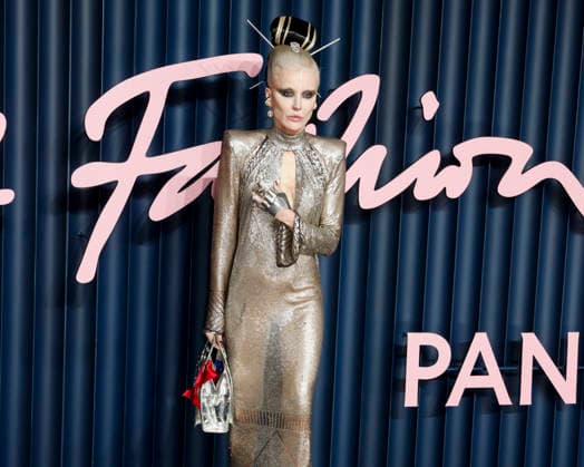 December 1, 2025, London, United Kingdom: Daphne Guinness attends The Fashion Awards 2025 at the Royal Albert Hall in Kensington, London. London United Kingdom - ZUMAs197 20251201_aaa_s197_600 Copyright: xCatxMorleyx
