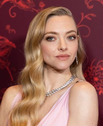 Celebrities attend the New York screening of The Housemaid Featuring: Amanda Seyfried Where: New York, New York, United States When: 02 Dec 2025 Credit: Janet Mayer INSTARimages.com EDITORIAL USE ONLY. NOT FOR USE BY NEWSPAPERS BASED IN THE UK. Copyright: xx instar55309647