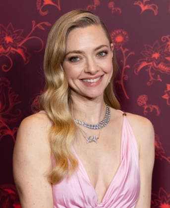 Celebrities attend the New York screening of The Housemaid Featuring: Amanda Seyfried Where: New York, New York, United States When: 02 Dec 2025 Credit: Janet Mayer INSTARimages.com EDITORIAL USE ONLY. NOT FOR USE BY NEWSPAPERS BASED IN THE UK. Copyright: xx instar55309650