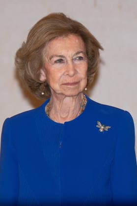 Queen Sofia of Spain at the IV Palarq National Award for archaeology and paleontology in Madrid - 04 Dec 2025 Queen Sofia attends the IV Palarq National Award for archaeology and paleontology at the National Archaeological Museum in Madrid. Madrid Spain Copyright: xAtilanoxGarciax xSOPAxImagesx photo02294