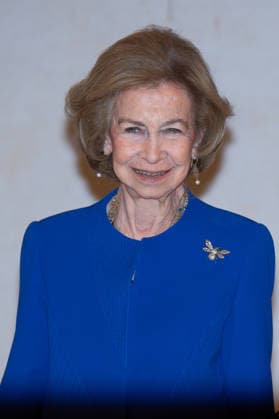 Queen Sofia of Spain at the IV Palarq National Award for archaeology and paleontology in Madrid - 04 Dec 2025 Queen Sofia attends the IV Palarq National Award for archaeology and paleontology at the National Archaeological Museum in Madrid. Madrid Spain Copyright: xAtilanoxGarciax xSOPAxImagesx photo02296