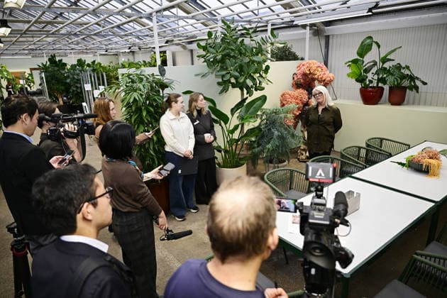 STOCKHOLM, SWEDEN 20251206 Helen Magnusson, Chief Florist at Hässelby Blommor during a press viewing of this years floral decorations for the Nobel Prize ceremony STOCKHOLM SWEDEN x10658x  Copyright: xMagnusxLejhall TTx HÄSSELBY BLOMMOR INÖFR NOBEL qDPo_gVKjtE