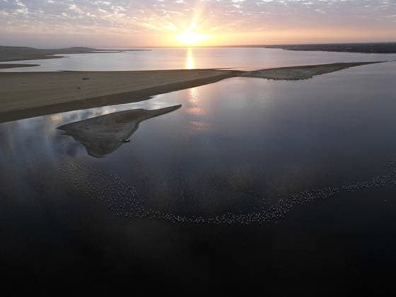 Egypt s Qarun Lake hosts migrating flamingos FAIYUM, EGYPT - DECEMBER 06: Flamingos migrating to warmer regions as the weather cools are seen in the Qarun Lake on December 06, 2025 in Faiyum, Egypt. The lake, which is one of the important stopping points for migratory birds, is hosting flamingos this year as it does every year. Fareed Kotb Anadolu Faiyum Egypt. Editorial use only. Please get in touch for any other usage.  Copyright: x2025xAnadoluxFareedxKotbx