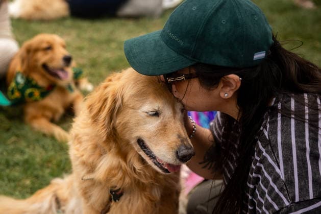 Golden Retrievers and owners gather for a world record in Buenos Aires BUENOS AIRES, ARGENTINA - DECEMBER 8: A woman kisses her Golden Retriever as hundreds of owners and their dogs gather this Monday holiday in the Bosques de Palermo in an attempt to break the world record for the largest meeting of Goldens, in Buenos Aires, Argentina, on December 8, 2025. The event, organized by influencer Fausto Duperre, brought together more than 1,800 dogs along with their families, breeders, and fans of the breed. To date, the world record was held by Vancouver, Canada, with 1,685 dogs. Cristina Sille Anadolu Buenos Aires Argentina. Editorial use only. Please get in touch for any other usage. Copyright: x2025xAnadoluxCristinaxSillex