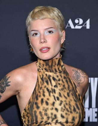 ˜Marty Supreme™ Los Angeles Premiere Halsey arriving to the Los Angeles premiere of Marty Supreme™ at the Samuel Goldwyn Theater on December 8, 2025 in Beverly Hills, Ca. Beverly Hills Samuel Goldwyn Theater California USA Copyright: xLisaxOConnor xAFF-USA.COMx