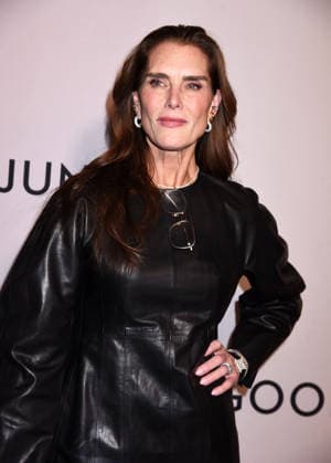 Netflix s Goodbye June NY l screening at the Whitby Hotel on December 8, 2025 in New York city. Brooke Shields at Netflix s Goodbye June NY screening at the Whitby Hotel on December 8, 2025 in New York city., Credit:Darla Khazei Avalon  Copyright: xDarlaxKhazeix xAvalonx 1057840056