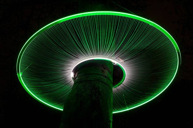 Illustration Exposition Lumières de la Nature au Jardin des Plantes à Paris le 9 décembre 2025 Anne Sophie Guebey Bestimage Kering Evening Event A Night at the Museum at the National Museum of Natural History in Paris on december 9th 2025 Paris France  Copyright: xAnne-SophiexGuebeyx xBestimagexAnne-SophiexGuebeyx xBestimagex