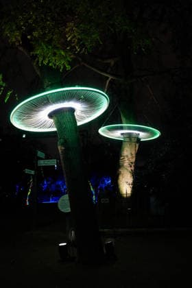 Illustration Exposition Lumières de la Nature au Jardin des Plantes à Paris le 9 décembre 2025 Anne Sophie Guebey Bestimage Kering Evening Event A Night at the Museum at the National Museum of Natural History in Paris on december 9th 2025 Paris France  Copyright: xAnne-SophiexGuebeyx xBestimagexAnne-SophiexGuebeyx xBestimagex