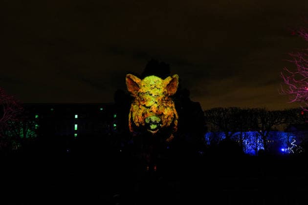 Illustration Exposition Lumières de la Nature au Jardin des Plantes à Paris le 9 décembre 2025 Anne Sophie Guebey Bestimage Kering Evening Event A Night at the Museum at the National Museum of Natural History in Paris on december 9th 2025 Paris France  Copyright: xAnne-SophiexGuebeyx xBestimagexAnne-SophiexGuebeyx xBestimagex