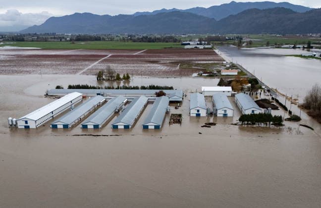December 11, 2025, Vancouver, Bc, CANADA: Buildings on Jem Farms flooded near the Sumas border crossing in Abbotsford B.C., on Thursday, December 11, 2025. Vancouver CANADA  - ZUMAc35_ 20251211_zaf_c35_051 Copyright: xEthanxCairnsx
