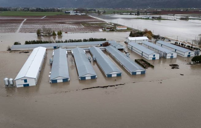 December 11, 2025, Vancouver, Bc, CANADA: Buildings on Jem Farms flooded near the Sumas border crossing in Abbotsford B.C., on Thursday, December 11, 2025. Vancouver CANADA  - ZUMAc35_ 20251211_zaf_c35_093 Copyright: xEthanxCairnsx