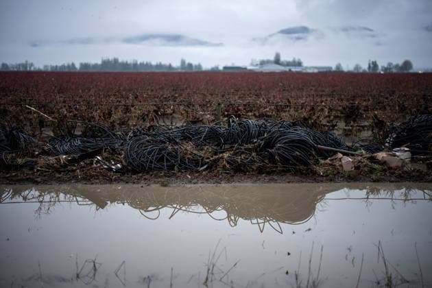December 12, 2025, Abbotsford, Bc, CANADA: Wire debris is caught in a field after flooding in Abbotsford, B.C., Friday, Dec. 12, 2025. Abbotsford CANADA  - ZUMAc35_ 20251212_zaf_c35_046 Copyright: xEthanxCairnsx