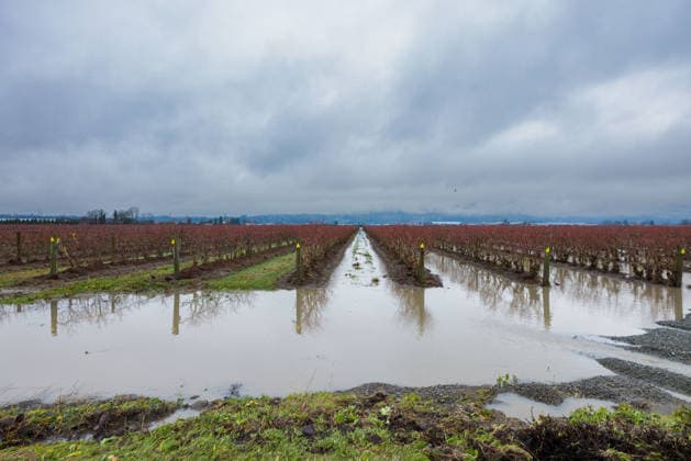 (251213) -- ABBOTSFORD, Dec. 13, 2025 -- This photo provided by the shows a flooded farmland in Abbotsford, British Columbia, Canada, Dec. 12, 2025. ( Handout via Xinhua) CANADA-ABBOTSFORD-FLOODING GovernmentxofxBritishxColumbia 