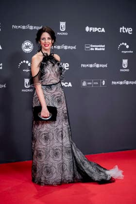 Red carpet of the 31st edition of the José María Forqué Awards Actress Marta González de Vega poses on the red carpet of the 31st edition of the José María Forqué Awards, at the IFEMA Municipal Palace, on December 13, 2025, in Madrid Spain The José María Forqué Film Awards, known as Premios Forqué, were created in 1996 by the Entidad de Gestión de Derechos de los Productores Audiovisuales Egeda to honor the memory of José María Forqué, a leading figure in Spanish filmmaking and the first president of Egeda EGEDA created the award with the aim of disseminating the importance of the Spanish audiovisual industry and promoting the figure of the film producer 13 DECEMBER 2025 FORQUÉ PREMIOS ALFOMBRA ROJA PHOTOCALL MADRID IFEMA Madrid Madrid Mad  Copyright: xAlbertoxOrtegax 7168113