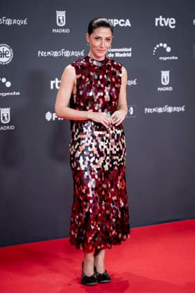 Red carpet of the 31st edition of the José María Forqué Awards Actress Bárbara Lennie poses on the red carpet of the 31st edition of the José María Forqué Awards, at the IFEMA Municipal Palace, on December 13, 2025, in Madrid Spain The José María Forqué Film Awards, known as Premios Forqué, were created in 1996 by the Entidad de Gestión de Derechos de los Productores Audiovisuales Egeda to honor the memory of José María Forqué, a leading figure in Spanish filmmaking and the first president of Egeda EGEDA created the award with the aim of disseminating the importance of the Spanish audiovisual industry and promoting the figure of the film producer 13 DECEMBER 2025 FORQUÉ PREMIOS ALFOMBRA ROJA PHOTOCALL MADRID IFEMA Madrid Madrid Madrid Espa  Copyright: xAlbertoxOrtegax 7168350