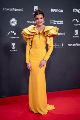 Red carpet of the 31st edition of the José María Forqué Awards Presenter Beatriz Jarrín poses on the red carpet of the 31st edition of the José María Forqué Awards, at the IFEMA Municipal Palace, on December 13, 2025, in Madrid Spain The José María Forqué Film Awards, known as Premios Forqué, were created in 1996 by the Entidad de Gestión de Derechos de los Productores Audiovisuales Egeda to honor the memory of José María Forqué, a leading figure in Spanish filmmaking and the first president of Egeda EGEDA created the award with the aim of disseminating the importance of the Spanish audiovisual industry and promoting the figure of the film producer 13 DECEMBER 2025 Madrid Madrid Espana  Copyright: xAlbertoxOrtegax 7168500