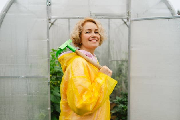 MR_ID31431_22691_TatianaLopatina.jpg A smiling woman wearing a yellow raincoat stands in a greenhouse, holding a green rake. She is surrounded by flourishing plants, symbolizing a successful harvest and love for gardening Model Released JenyKulikova_ID31431_1068845_015 Copyright: xJenyxKulikovax
