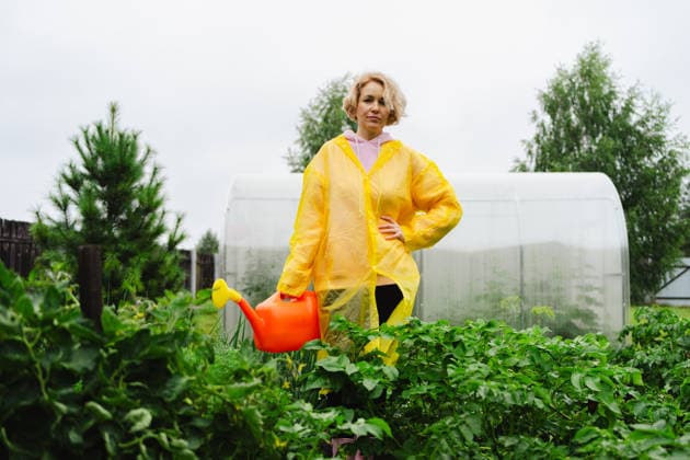 MR_ID31431_22691_TatianaLopatina.jpg A woman in a vibrant yellow raincoat stands confidently in a lush garden, holding a bright orange watering can. The greenhouse in the background highlights the gardening scene Model Released JenyKulikova_ID31431_1068851_021 Copyright: xJenyxKulikovax