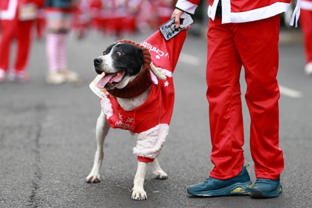 The 2025 Santa Run race in Mexico City MEXICO CITY, MEXICO - DECEMBER 14: Dogs and their owners in costumes participate in the Santa Run race, at La Mexicana Park, in Mexico City, Mexico on December 14, 2025. Hundreds of people dressed as Santa Claus, some accompanied by their dogs, gathered at La Mexicana Park for the annual 5 km and 10 km Santa Run races. Daniel Cardenas Anadolu Mexico City Mexico. Editorial use only. Please get in touch for any other usage.  Copyright: x2025xAnadoluxDanielxCardenasx
