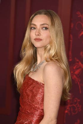 HOLLYWOOD, CA - DECEMBER 15: Amanda Seyfried at the Los Angeles premiere of The Housemaid on December 15, 2025 at the TCL Chinese Theater in Hollywood, California. Copyright: xJeffreyxMayerx