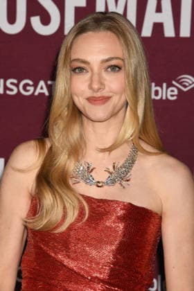 HOLLYWOOD, CA - DECEMBER 15: Amanda Seyfried at the Los Angeles premiere of The Housemaid on December 15, 2025 at the TCL Chinese Theater in Hollywood, California. Copyright: xJeffreyxMayerx