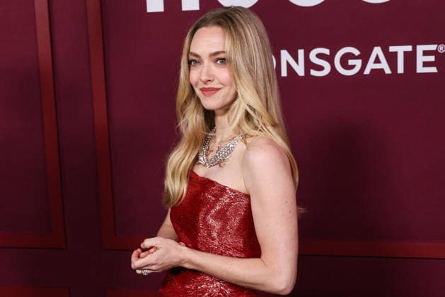 Los Angeles Premiere Of Lionsgate s The Housemaid HOLLYWOOD, LOS ANGELES, CALIFORNIA, USA - DECEMBER 15: American actress Amanda Seyfried wearing Monse PF26, Tiffany & Co. jewelry and Jimmy Choo shoes arrives at the Los Angeles Premiere Of Lionsgate s The Housemaid held at the TCL Chinese Theatre IMAX on December 15, 2025 in Hollywood, Los Angeles, California, United States., Credit:Xavier Collin Avalon United States, California, Hollywood, TCL Chinese Theatre IMAX Copyright: xXavierxCollinx xAvalonx 1059629861
