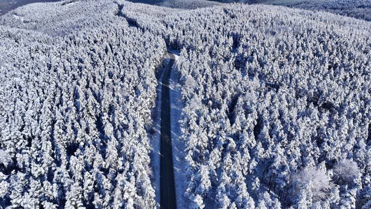 Snow covered Topuk Plateau in Turkiye s Duzce DUZCE, TURKIYE - DECEMBER 16: An aerial view shows snow covered Topuk Plateau, located at an altitude of 1280 meters, after snowfall in Kaynasli district of Duzce, Turkiye on December 16, 2025. The pine, fir, beech, and hornbeam trees surrounding the plateau and the pond, as well as the footpaths, were covered with snow. Omer Urer Anadolu Duzce Turkey. Editorial use only. Please get in touch for any other usage.  Copyright: x2025xAnadoluxOmerxUrerx