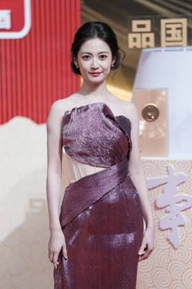 LANGFANG, CHINA - DECEMBER 16: Actress Chen Yuqi arrives at the red carpet of the Domestic TV Series Ceremony (China TV Drama Awards) on December 16, 2025 in Langfang, Hebei Province of China.  Copyright: xVCGx 111610177544