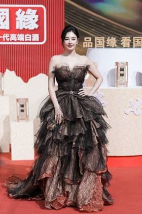 LANGFANG, CHINA - DECEMBER 16: Actress Kitty Zhang Yuqi arrives at the red carpet of the Domestic TV Series Ceremony (China TV Drama Awards) on December 16, 2025 in Langfang, Hebei Province of China.  Copyright: xVCGx 111610177399