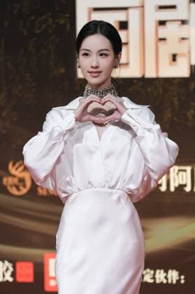 LANGFANG, CHINA - DECEMBER 16: Actress Chen Duling arrives at the red carpet of the Domestic TV Series Ceremony (China TV Drama Awards) on December 16, 2025 in Langfang, Hebei Province of China.  Copyright: xVCGx 111610177101