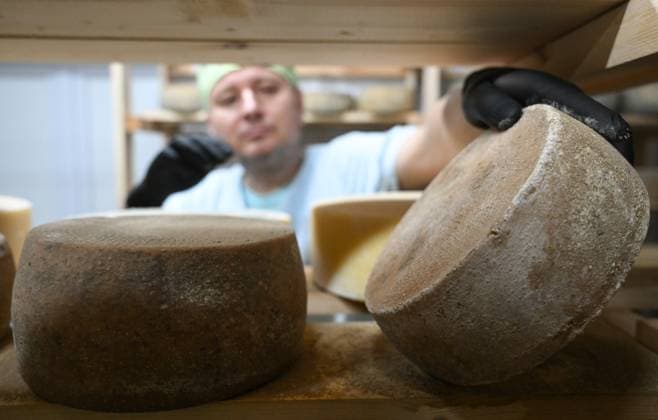 Russia Dairy Industry 9073038 17.12.2025 Employees work in a cheese cellar of the Labrie artisan cheese factory in Novosibirsk, Russia. The company produces over 30 types of cheese, processing up to 10 tonnes of milk per month. Alexandr Kryazhev Sputnik Novosibirsk Russia  Copyright: xAlexandrxKryazhevx